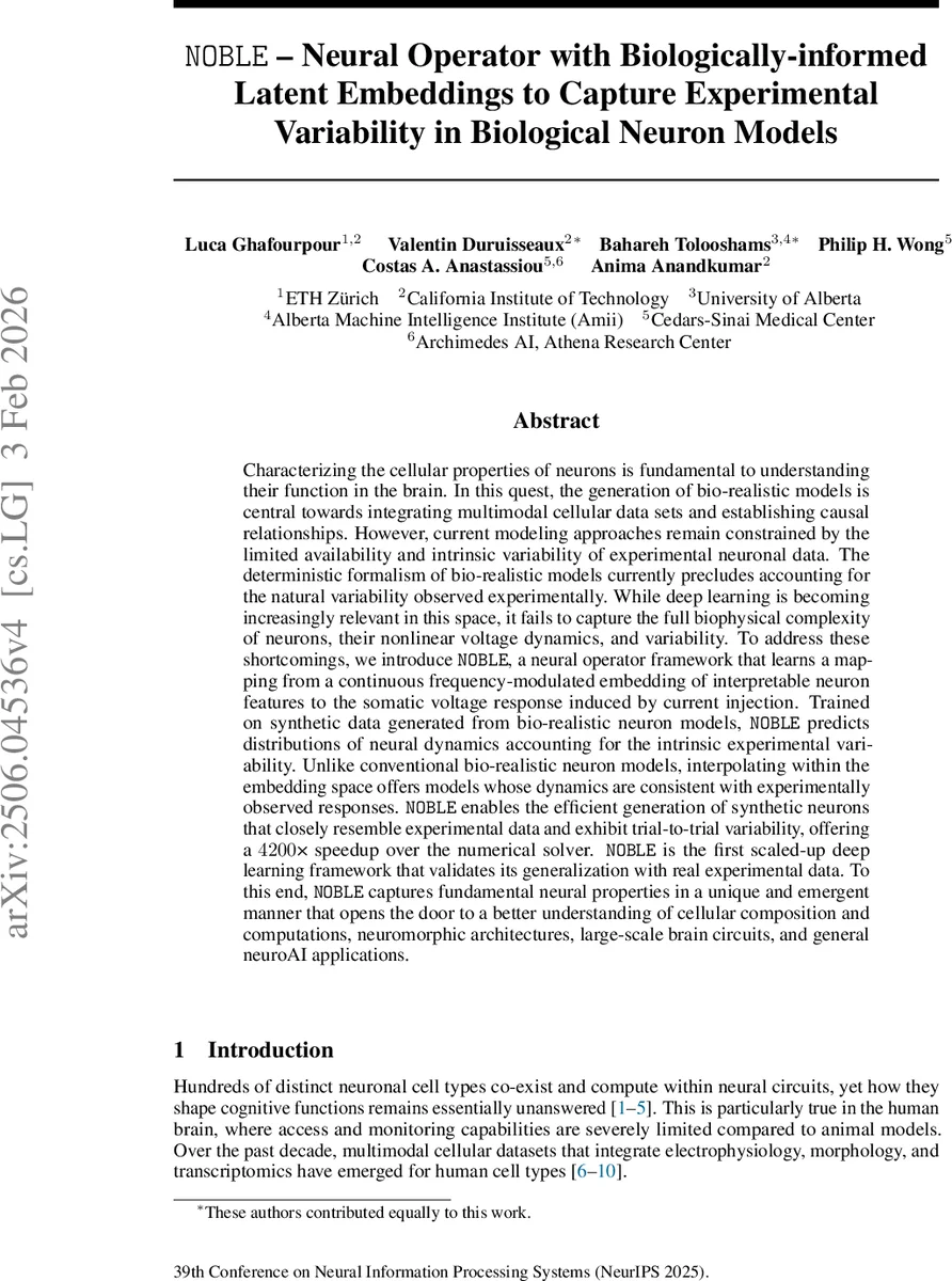 NOBLE -- Neural Operator with Biologically-informed Latent Embeddings to Capture Experimental Variability in Biological Neuron Models