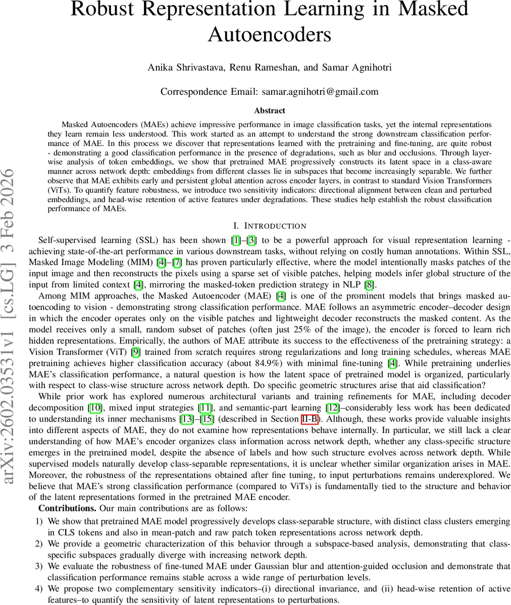 Robust Representation Learning in Masked Autoencoders