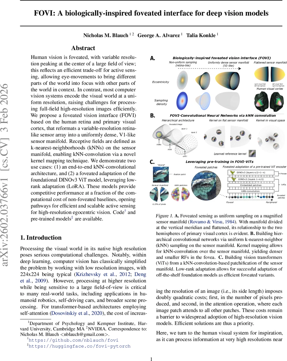 FOVI: A biologically-inspired foveated interface for deep vision models