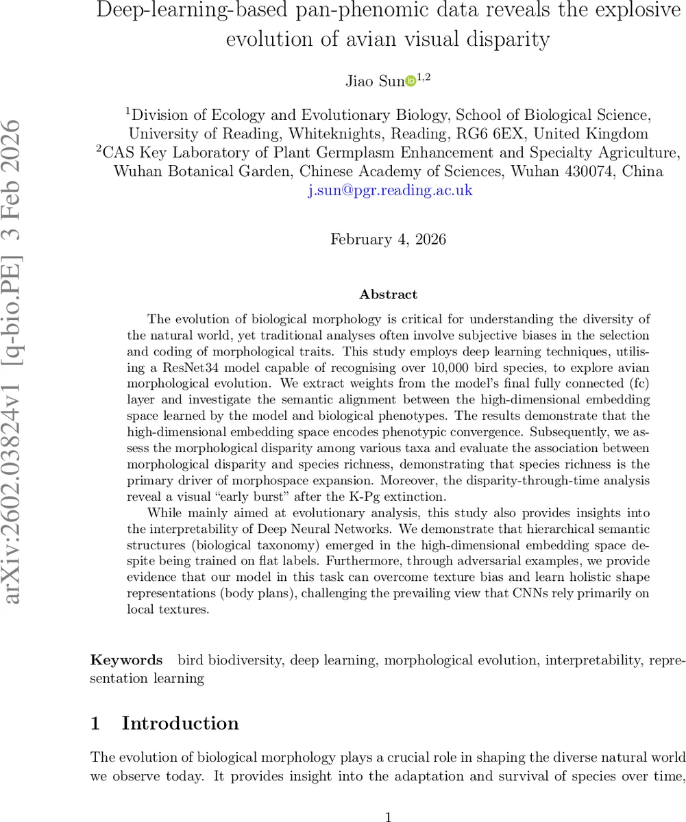 CFHT MegaCam Two Deep Fields Imaging Survey (2DFIS) II: Decoding the Lensing Profile of a "Rotating" Cluster with Deep CFHT Imaging