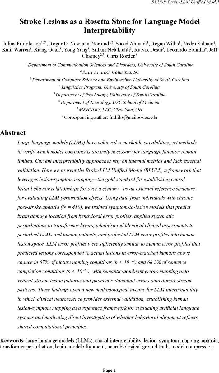 Stroke Lesions as a Rosetta Stone for Language Model Interpretability