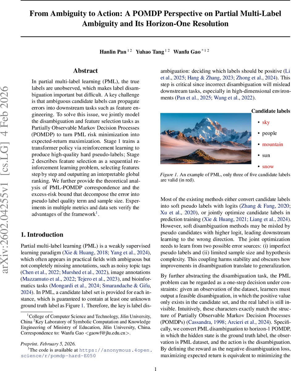 From Ambiguity to Action: A POMDP Perspective on Partial Multi-Label Ambiguity and Its Horizon-One Resolution