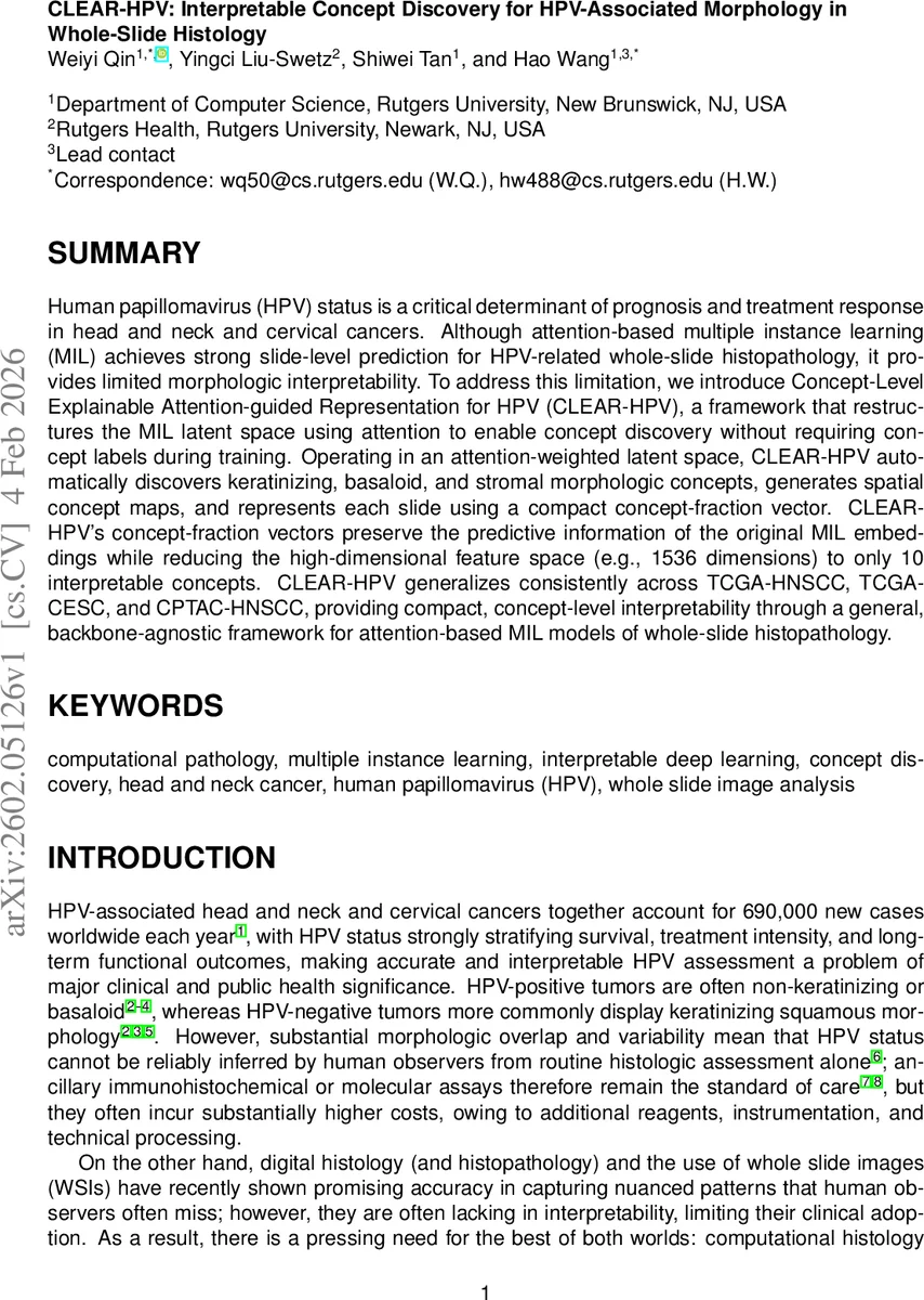 Optimizing Mirror-Image Peptide Sequence Design for Data Storage via Peptide Bond Cleavage Prediction