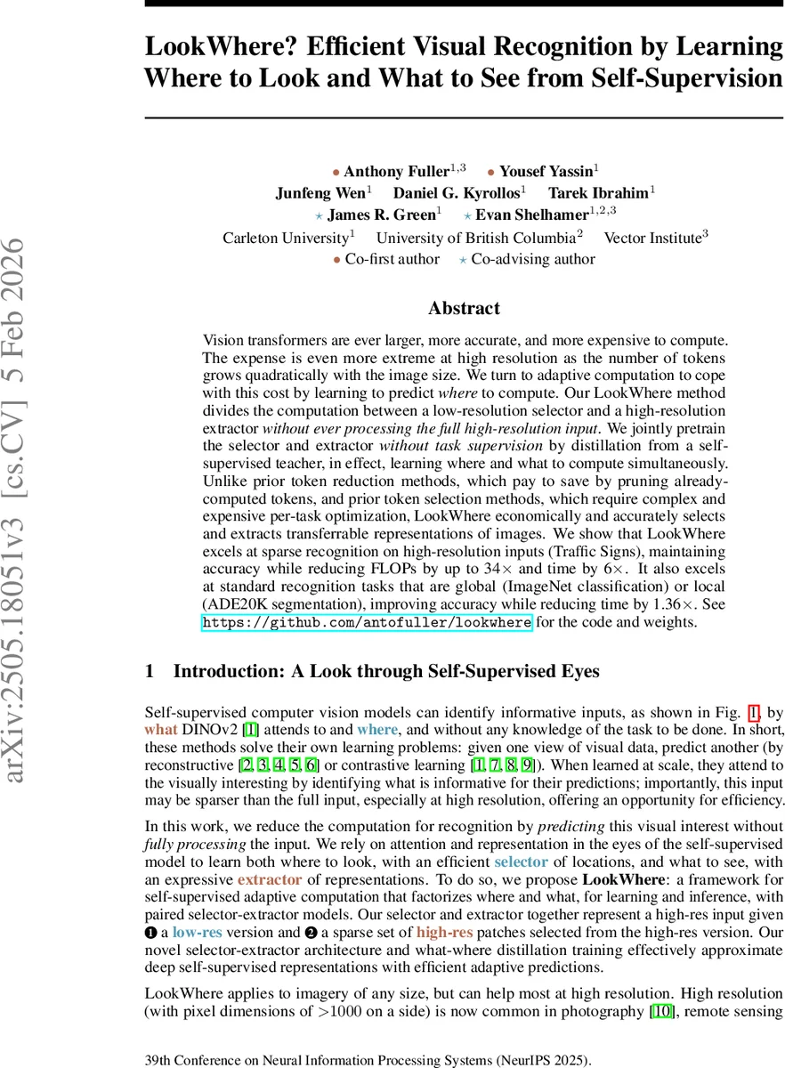 Rethinking Attention: Polynomial Alternatives to Softmax in Transformers