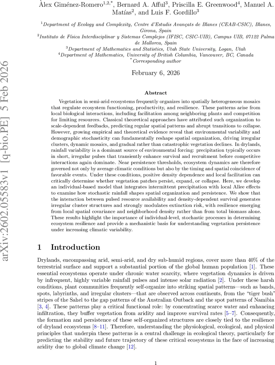 Intermittent precipitation and spatial Allee effects drive irregular vegetation patterns in semiarid ecosystems