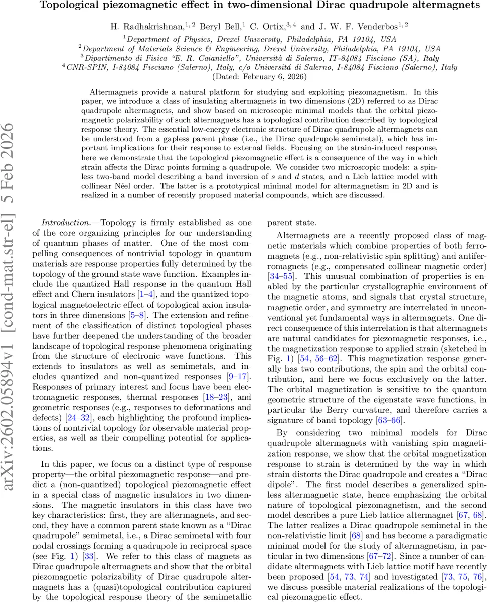 Topological piezomagnetic effect in two-dimensional Dirac quadrupole altermagnets