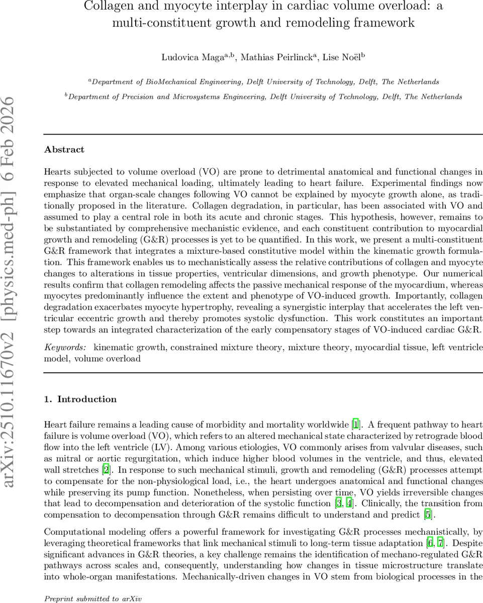 Collagen and myocyte interplay in cardiac volume overload: a multi-constituent growth and remodeling framework