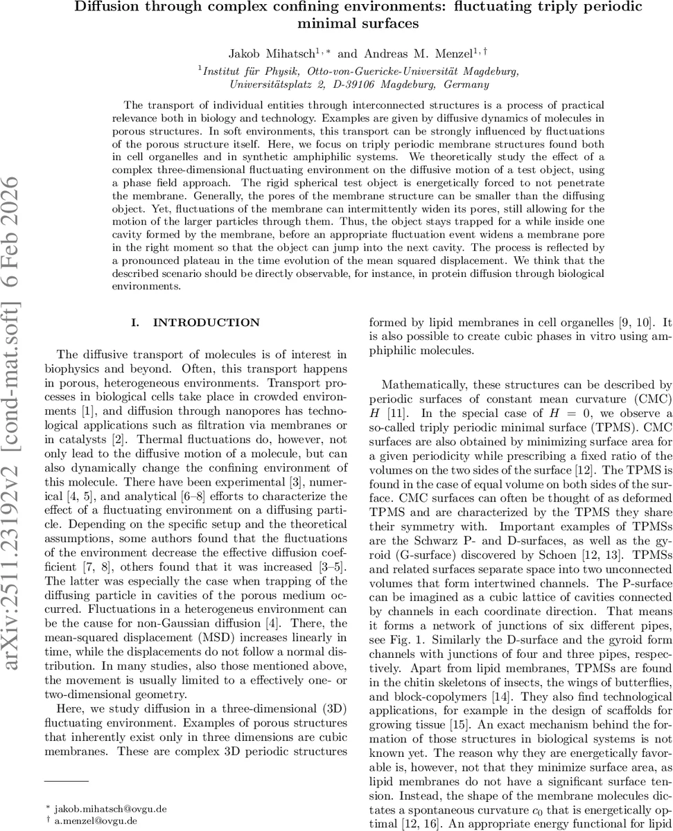 Learning Alzheimer's Disease Signatures by bridging EEG with Spiking Neural Networks and Biophysical Simulations