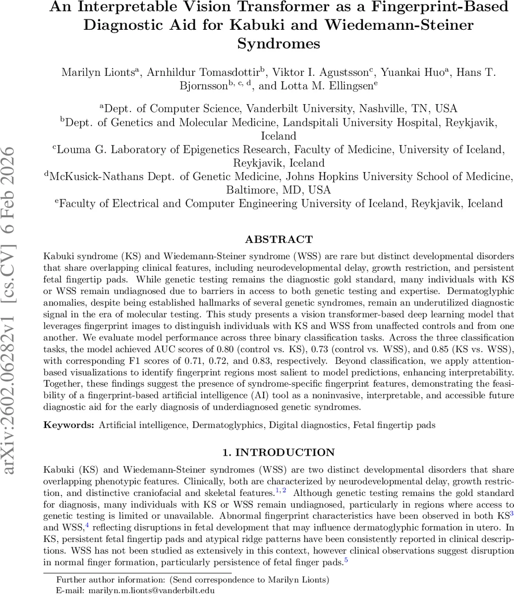 An Interpretable Vision Transformer as a Fingerprint-Based Diagnostic Aid for Kabuki and Wiedemann-Steiner Syndromes