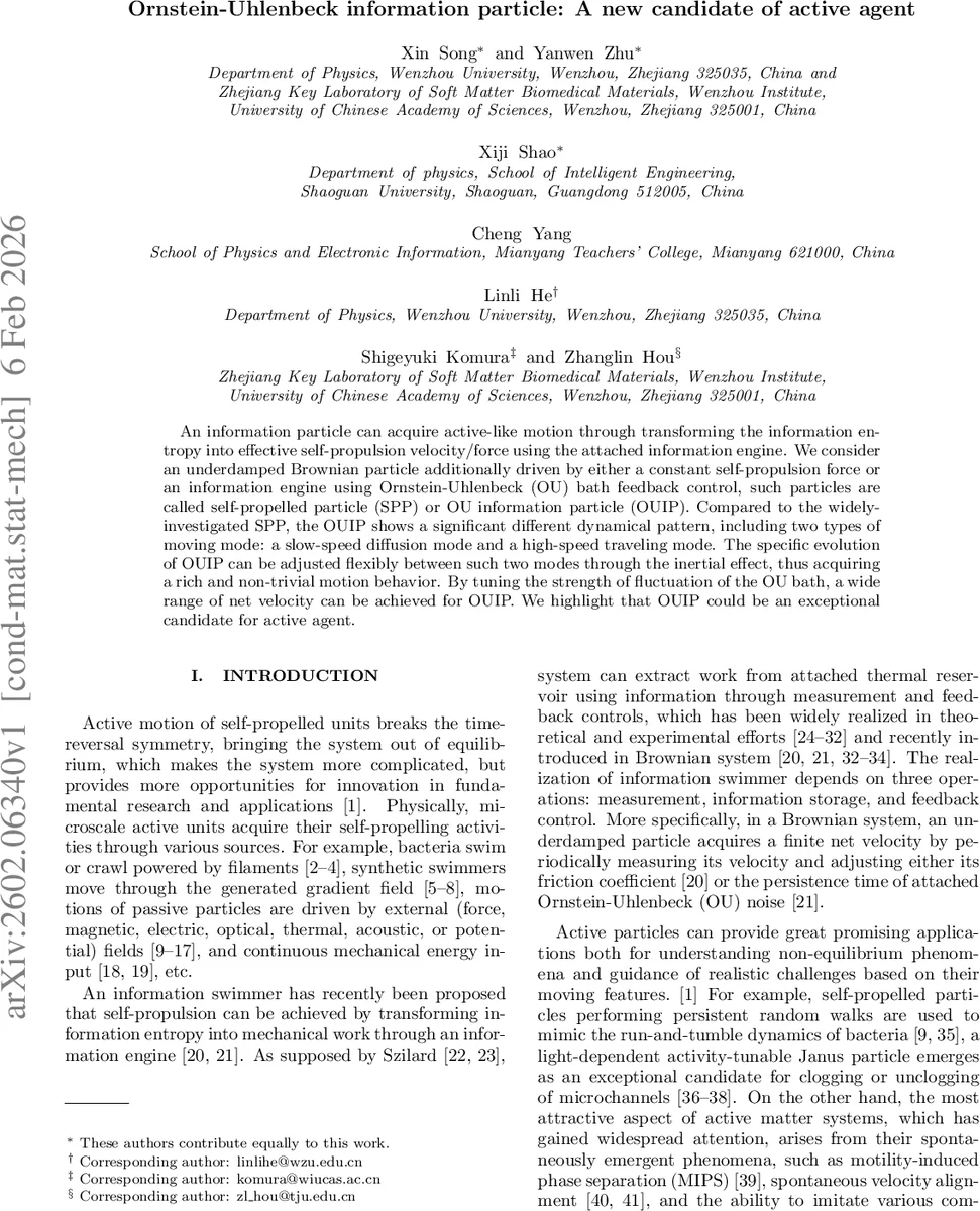 A gradient flow perspective on McKean-Vlasov equations in econophysics