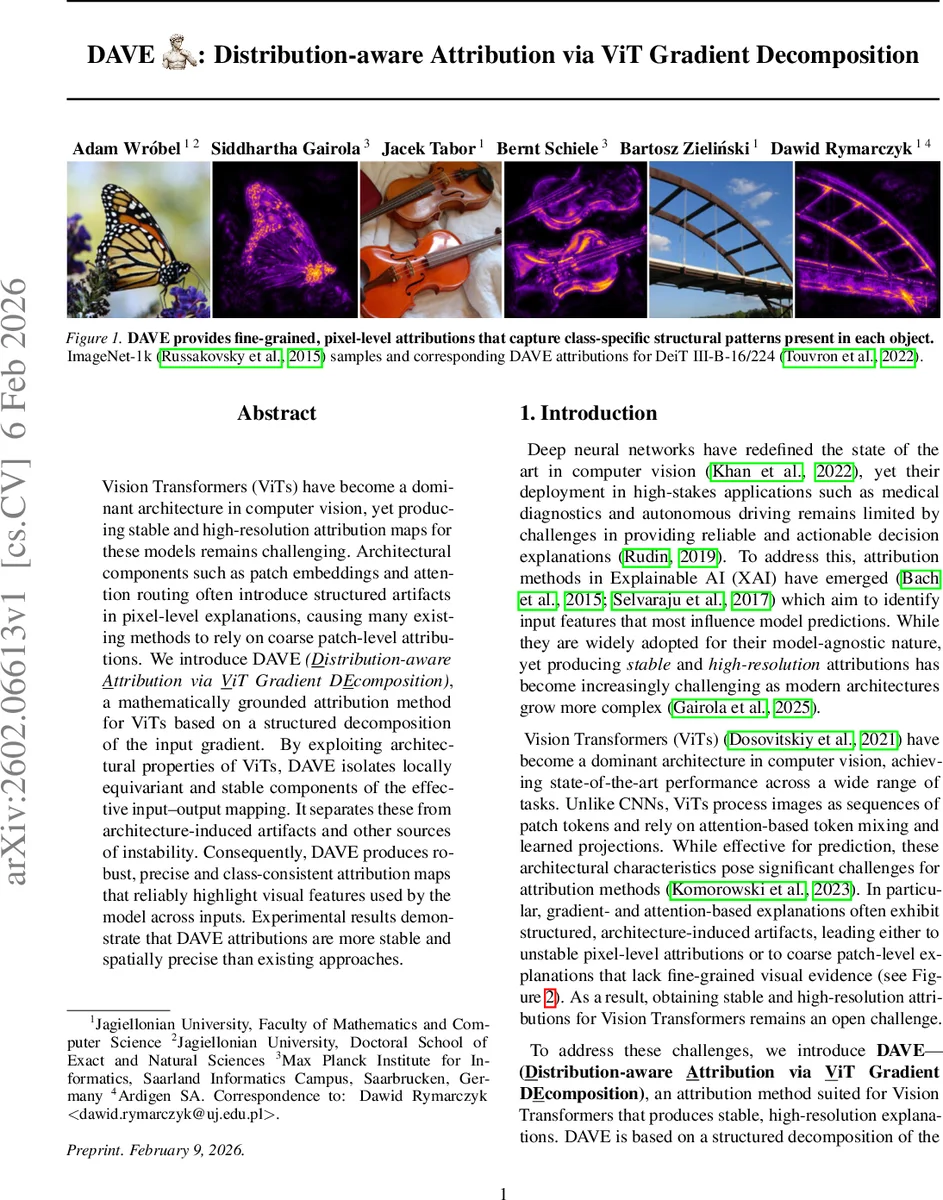 Differentiate-and-Inject: Enhancing VLAs via Functional Differentiation Induced by In-Parameter Structural Reasoning