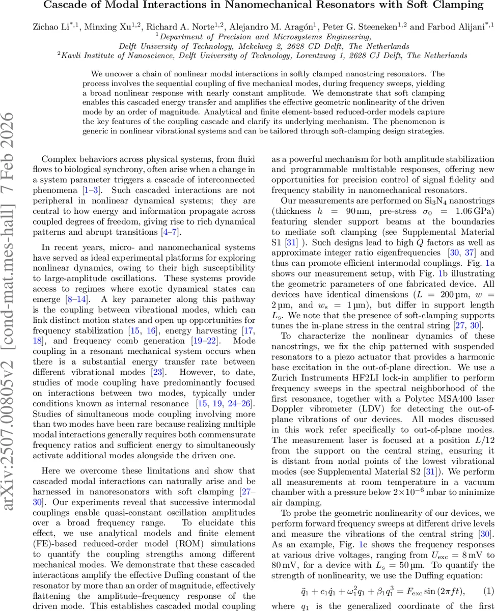 An intramembranous ossification model for the in-silico analysis of bone tissue formation in tooth extraction sites