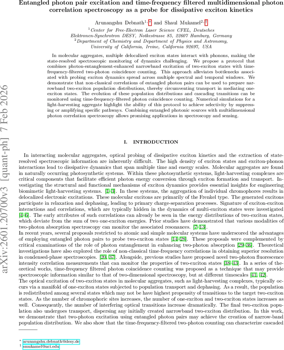 Disorder-induced spin-cluster magnetism in a doped kagome spin liquid candidate