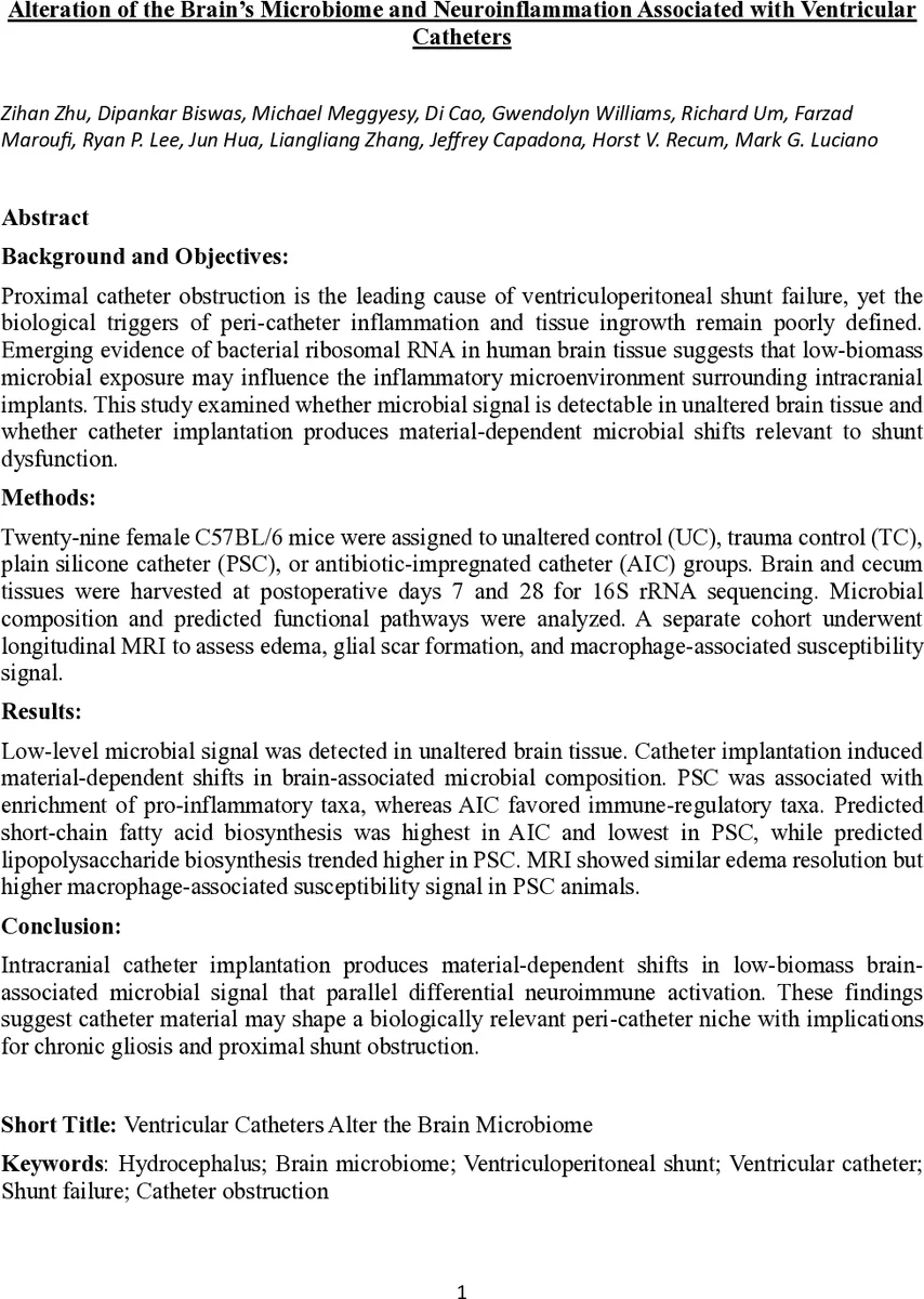 Elastic Spectral State Space Models for Budgeted Inference