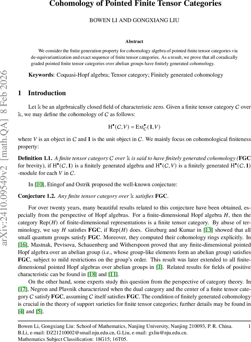 Quantum Error Mitigation at the pre-processing stage