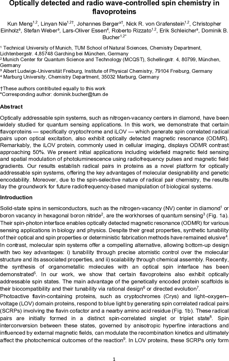 Optically detected and radio wave-controlled spin chemistry in flavoproteins