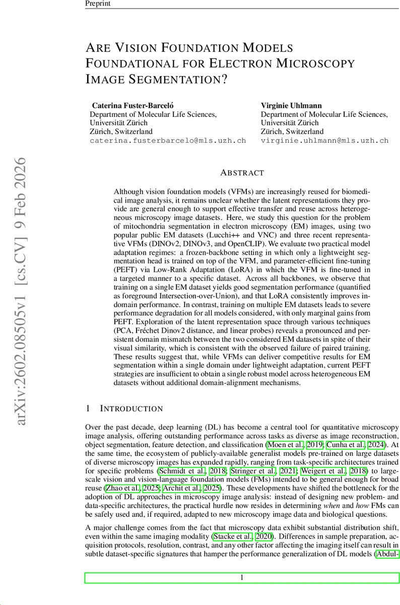 High-Speed Vision-Based Flight in Clutter with Safety-Shielded Reinforcement Learning