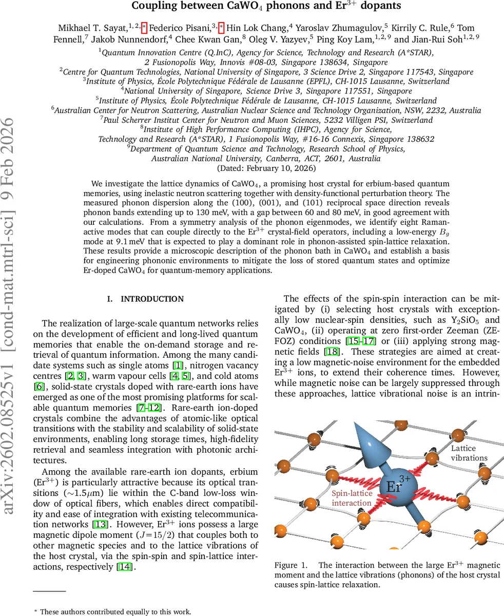 Coupling between CaWO$_4$ phonons and Er$^{3+}$ dopants