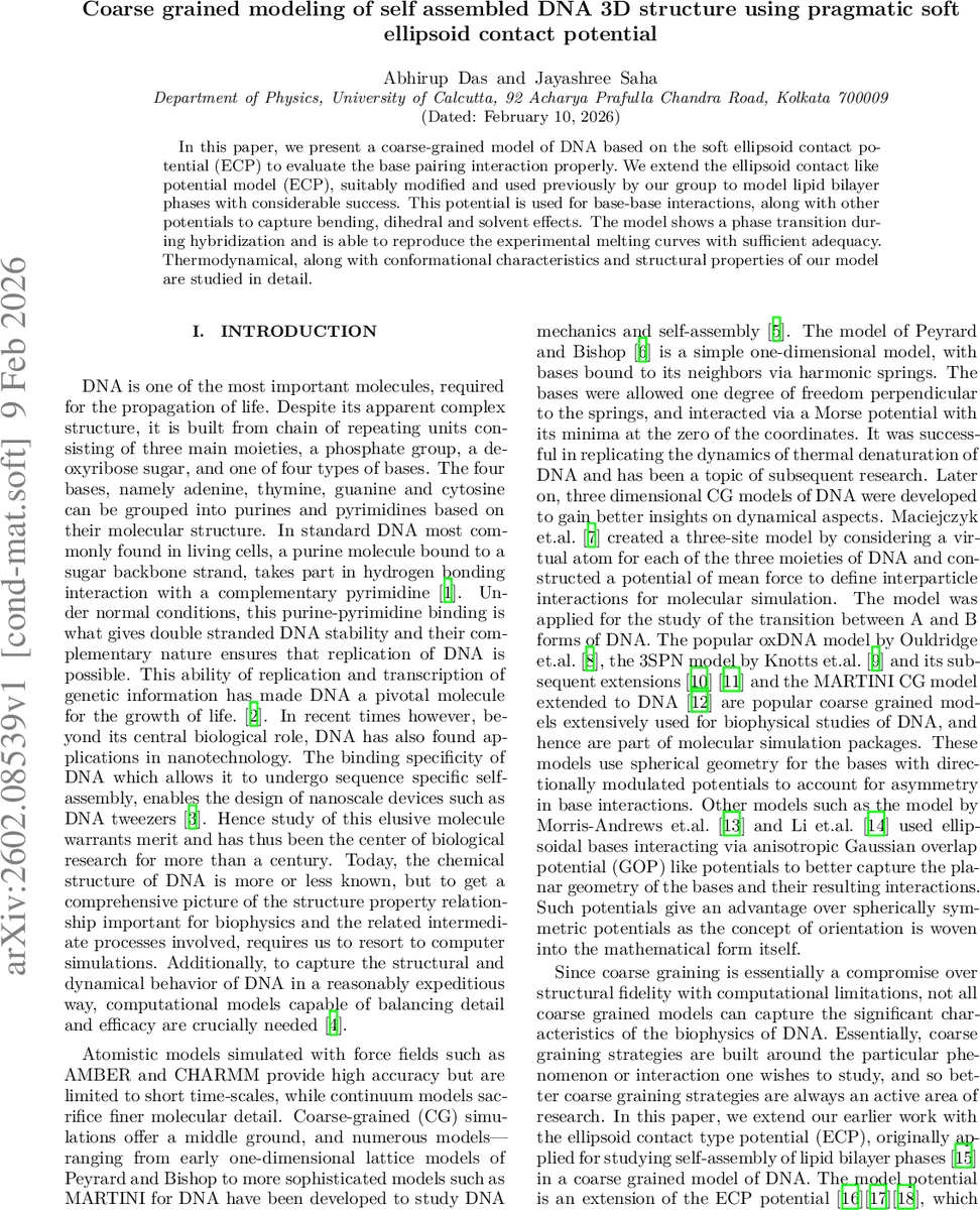 Quantum feedback control with a transformer neural network architecture
