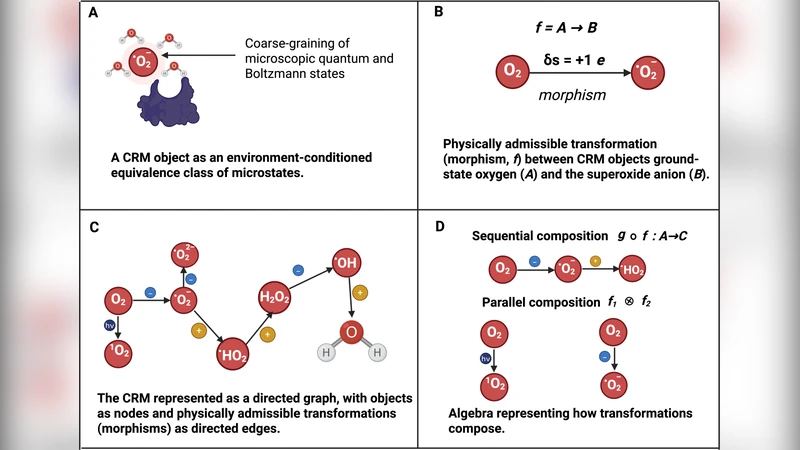 A Mathematical Theory of Redox Biology