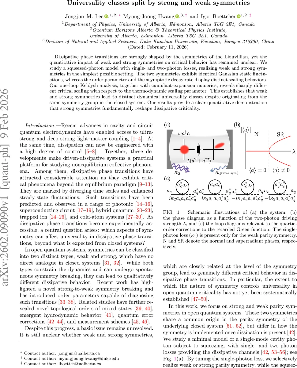 Universality classes split by strong and weak symmetries