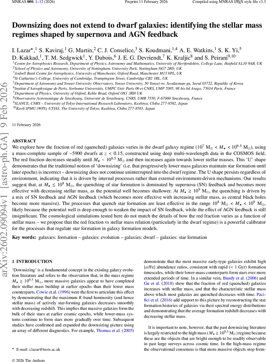 A Conditional Companion: Lived Experiences of People with Mental Health Disorders Using LLMs