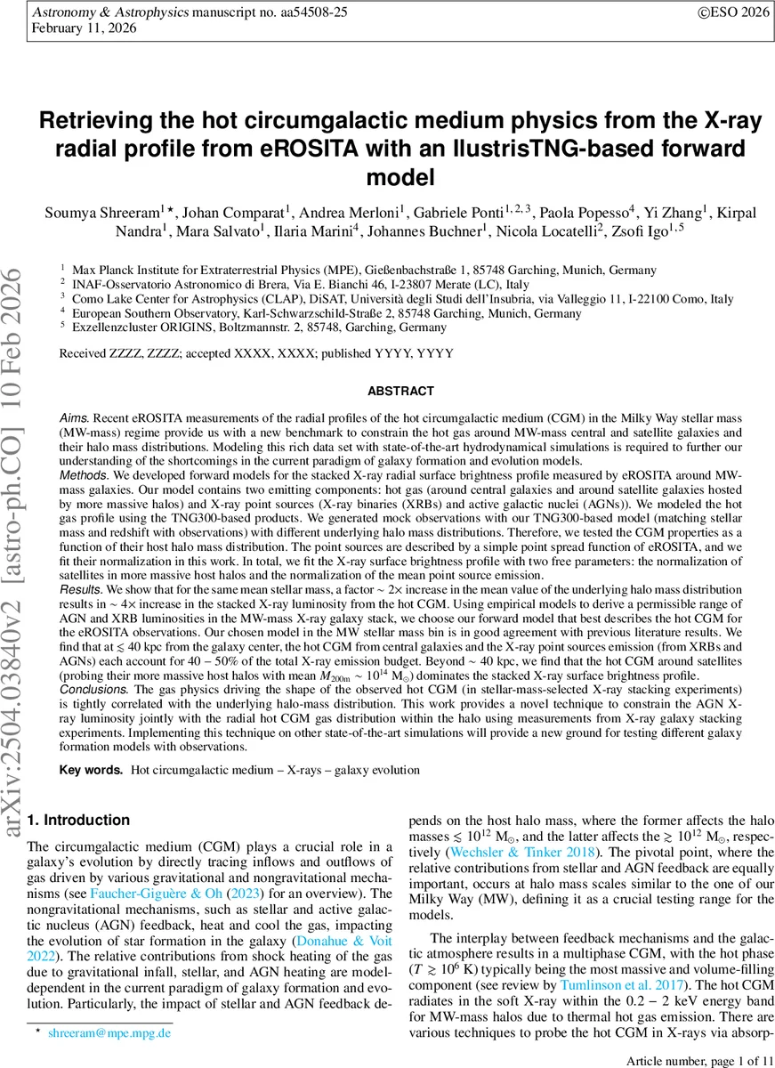 Retrieving the hot circumgalactic medium physics from the X-ray radial profile from eROSITA with an IlustrisTNG-based forward model
