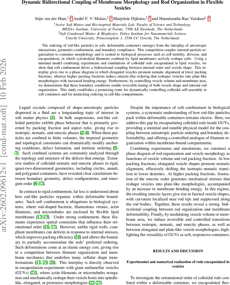 Stochastic heterogeneous SIR model with infection-age dependent infectivity on large random graphs