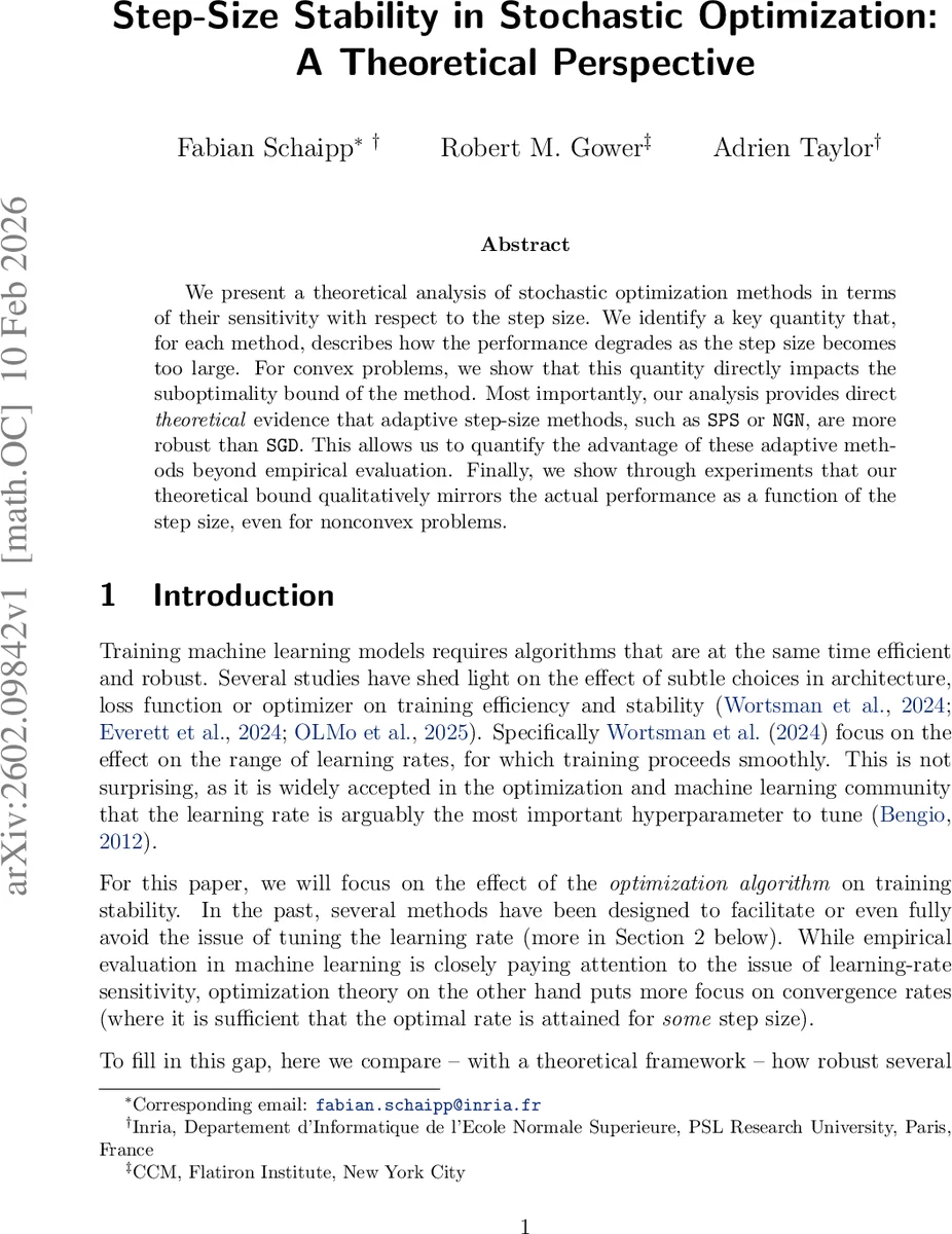 Step-Size Stability in Stochastic Optimization: A Theoretical Perspective