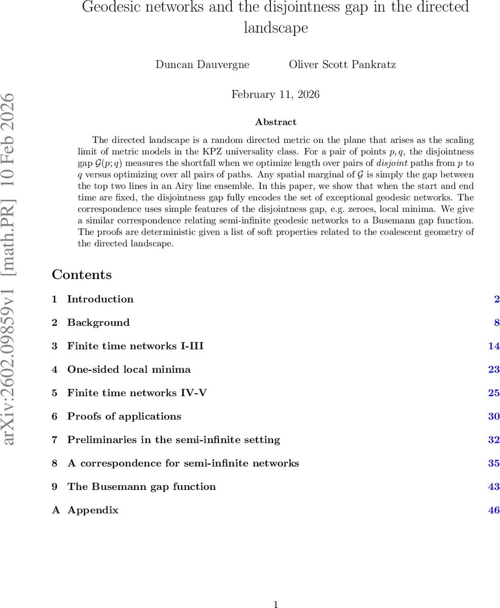 Geodesic networks and the disjointness gap in the directed landscape