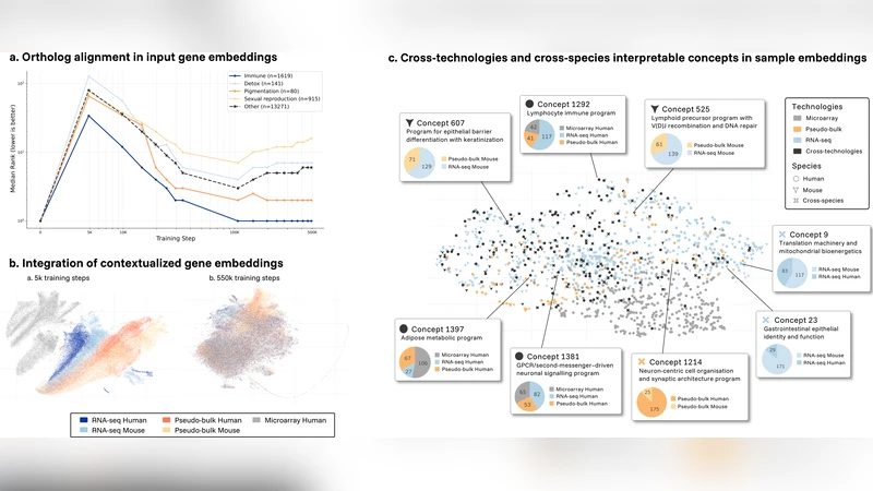 EVA: Towards a universal model of the immune system