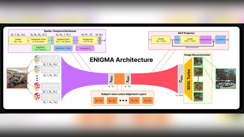 ENIGMA: EEG-to-Image in 15 Minutes Using Less Than 1% of the Parameters