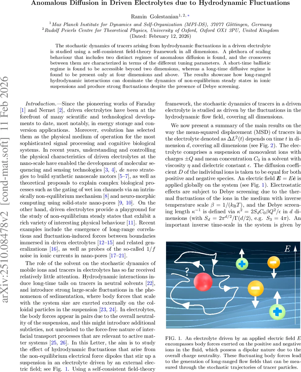 Momentum LMS Theory beyond Stationarity: Stability, Tracking, and Regret
