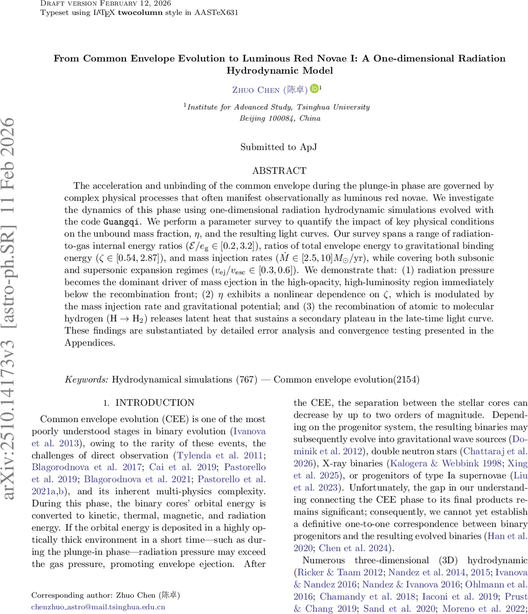From Common Envelope Evolution to Luminous Red Novae I: A One-dimensional Radiation Hydrodynamic Model