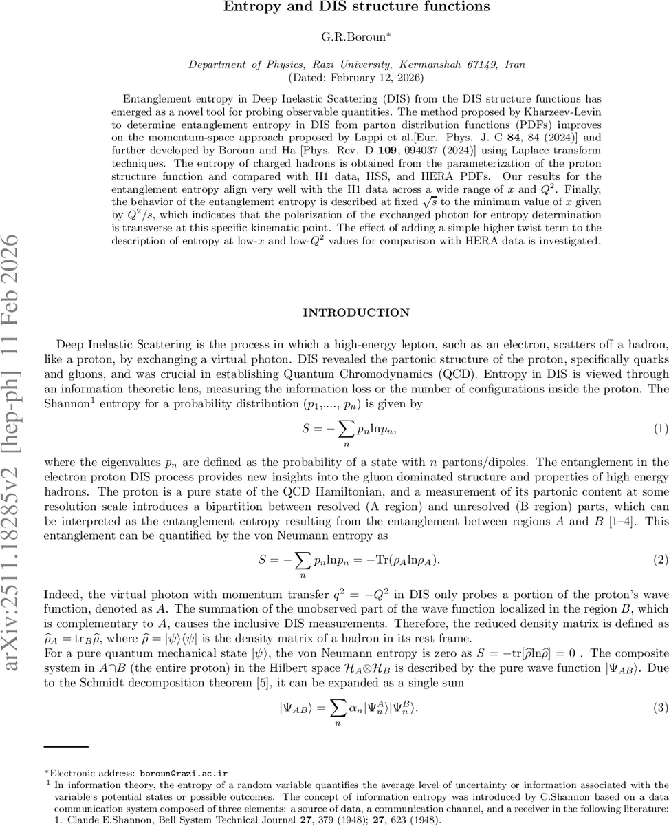 Entropy and DIS structure functions