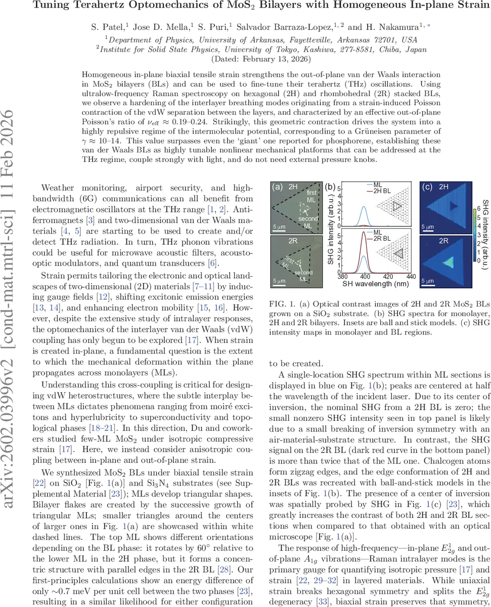 Tuning Terahertz Optomechanics of MoS2 Bilayers with Homogeneous In-plane Strain