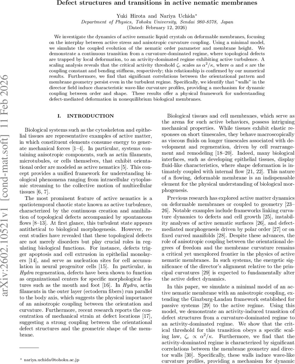 Defect structures and transitions in active nematic membranes