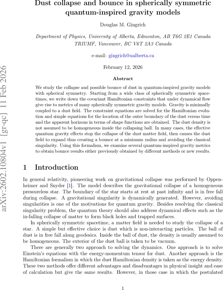 Languages of lossless seeds