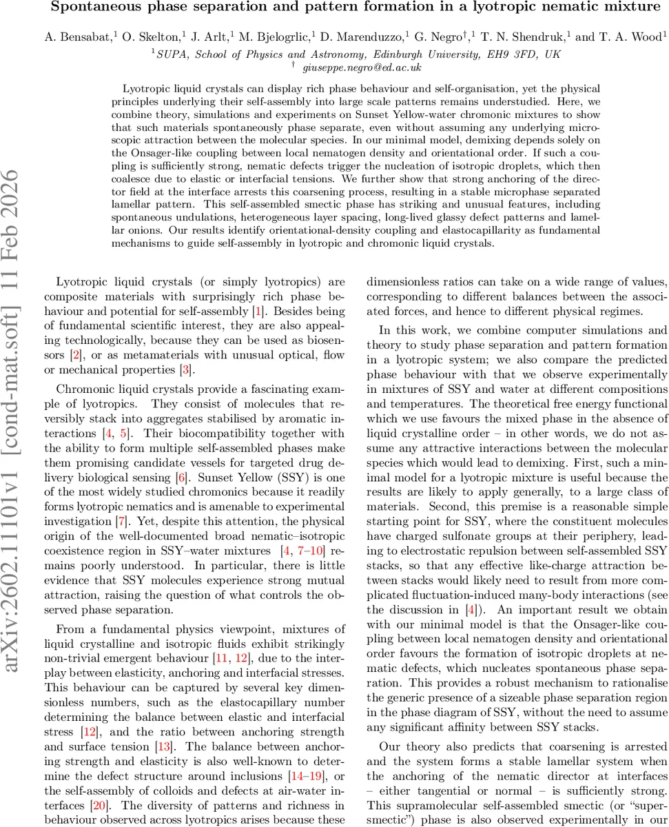 Spontaneous phase separation and pattern formation in a lyotropic nematic mixture