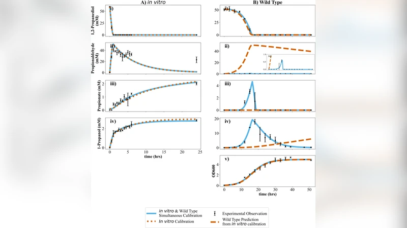 Mathematical modeling of 1,2-propanediol utilization bacterial microcompartments in vivo activity