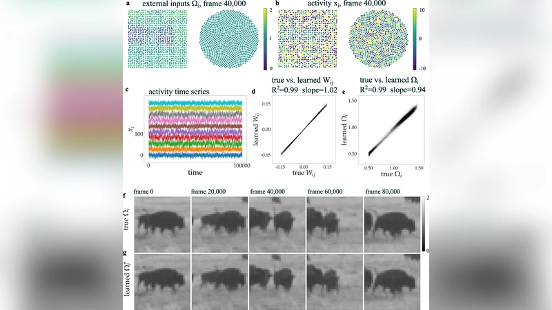 Graph neural networks uncover structure and functions underlying the activity of simulated neural assemblies