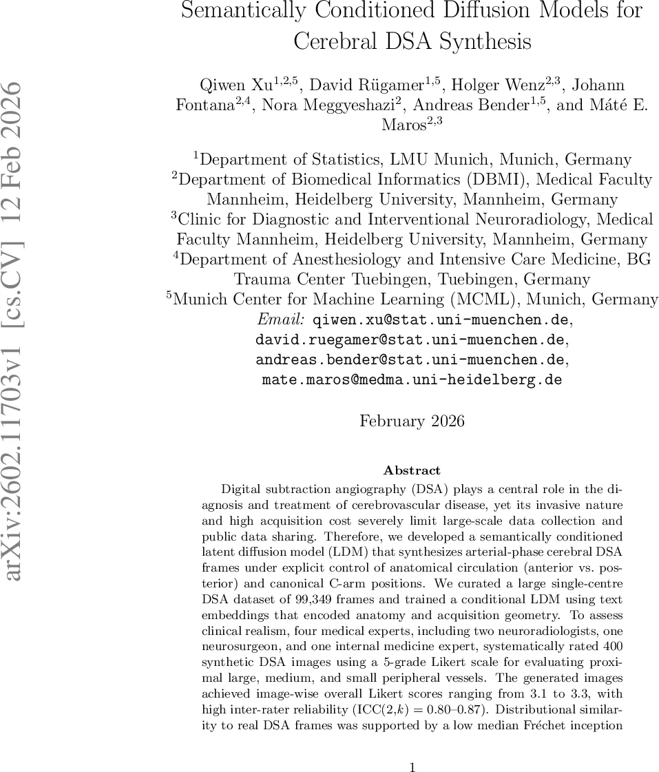 Semantically Conditioned Diffusion Models for Cerebral DSA Synthesis