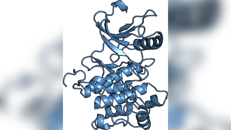 Protein Circuit Tracing via Cross-layer Transcoders