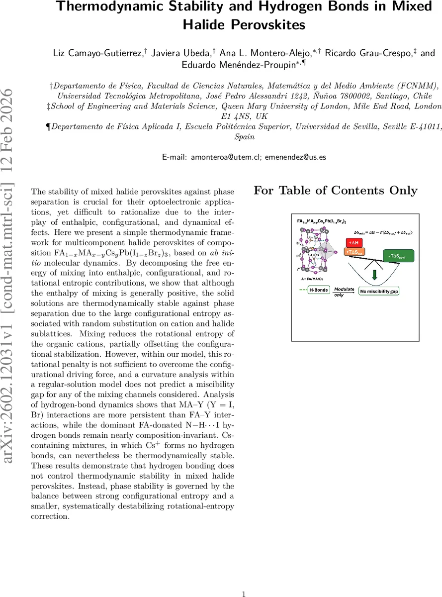 Thermodynamic Stability and Hydrogen Bonds in Mixed Halide Perovskites