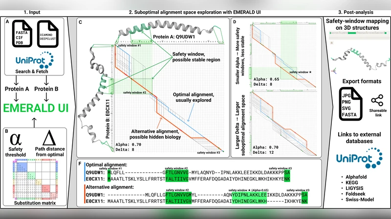 EMERALD-UI: An interactive web application to unveil novel protein biology hidden in the suboptimal-alignment space