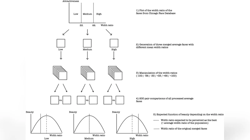 The Influence of Width Ratios on Structural Beauty in Male Faces