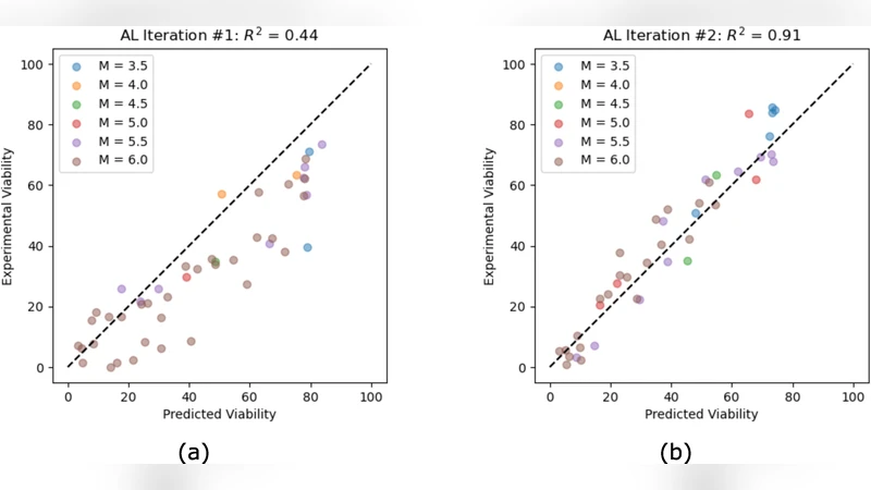 Accelerated Discovery of Cryoprotectant Cocktails via Multi-Objective Bayesian Optimization