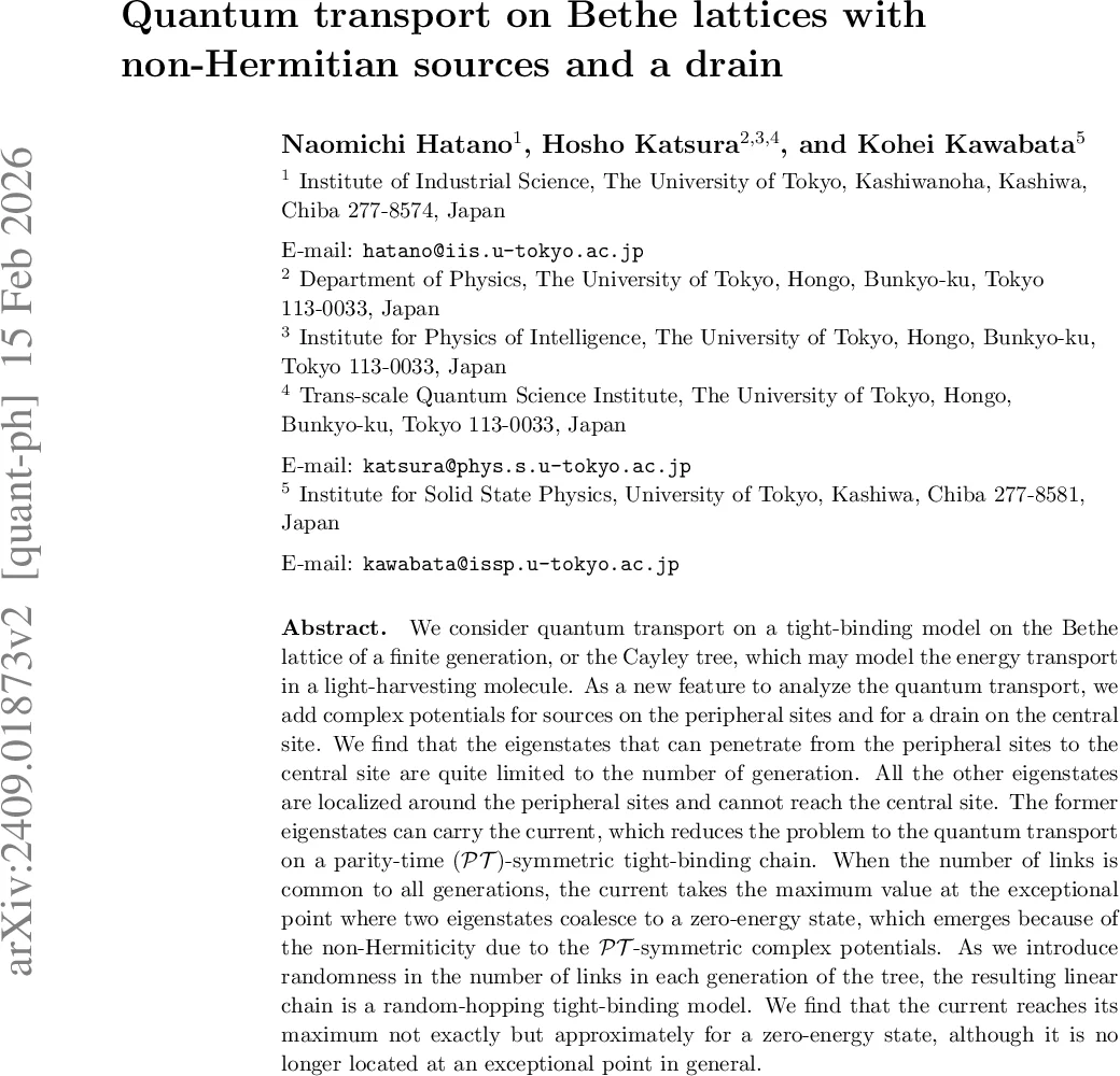Quantum transport on Bethe lattices with non-Hermitian sources and a drain