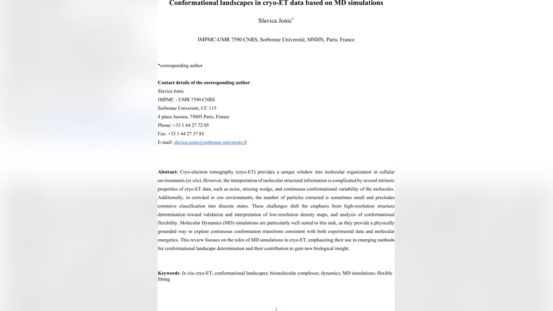 Conformational landscapes in cryo-ET data based on MD simulations