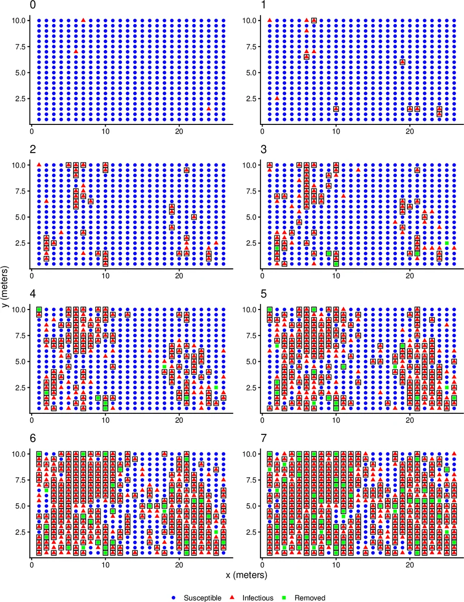 Hidden Markov Individual-level Models of Infectious Disease Transmission